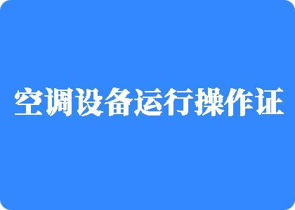 大鸡巴操烂小骚逼免费视频制冷工证